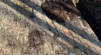 Damaged Decking