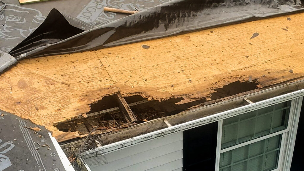 Roof Replacement St Jacob IL